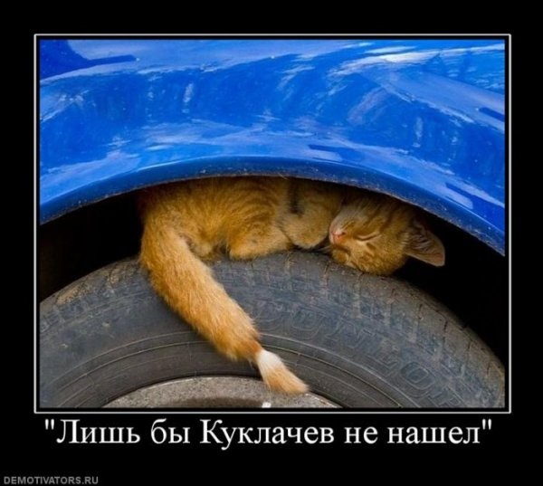 x_41d27a35.jpg